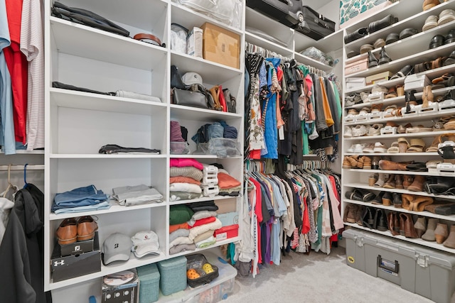 spacious closet featuring carpet floors