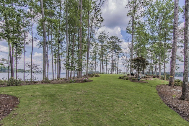 view of yard with a water view