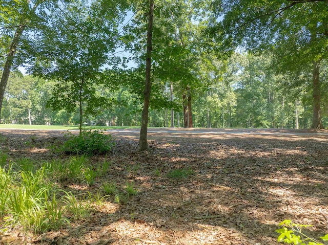 381 Reynolds Dr, Eatonton, GA 31024 - photo 4