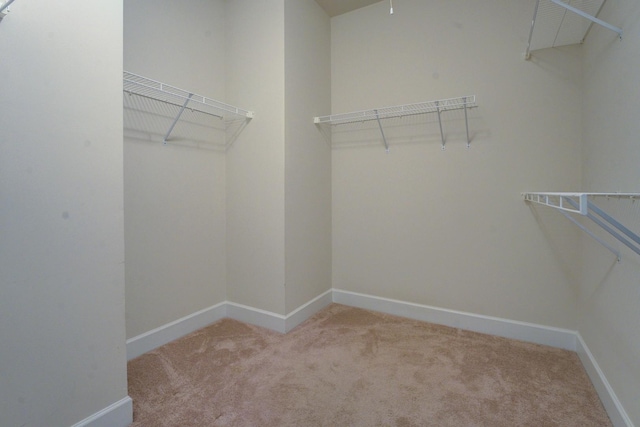 1190 Branch Creek Way, Greensboro, GA 30642 - photo 25