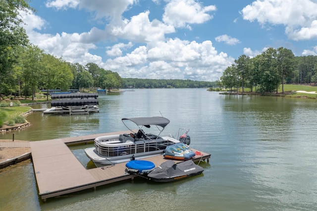 1221 Lake Club Dr, Greensboro, GA 30642 - photo 44
