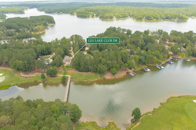 1221 Lake Club Dr, Greensboro, GA 30642 - photo 47