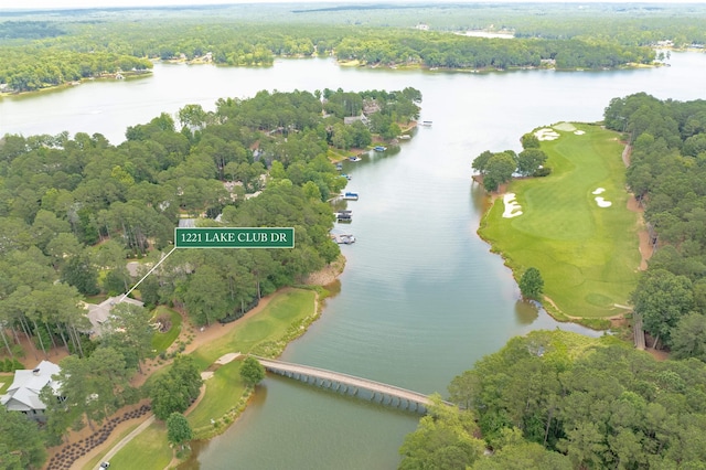 1221 Lake Club Dr, Greensboro, GA 30642 - photo 46