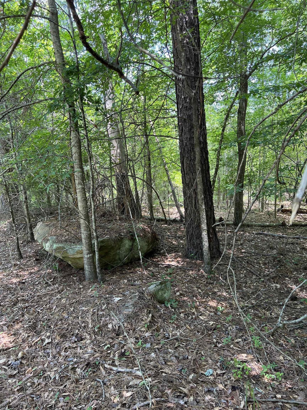 0 Crooked Creek Bay Rd, Eatonton, GA 31024