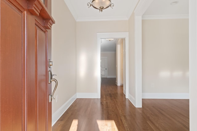 entryway featuring ornamental molding and dark hardwood / wood-style floors