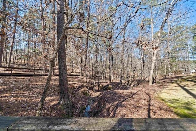 1020 Troublesome Creek Ln, Greensboro, GA 30642 - photo 59