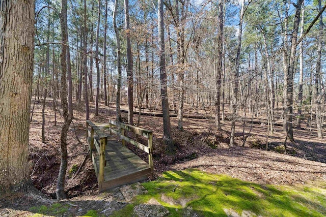 1020 Troublesome Creek Ln, Greensboro, GA 30642 - photo 60