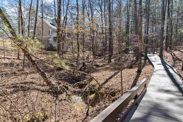 1020 Troublesome Creek Ln, Greensboro, GA 30642 - photo 61