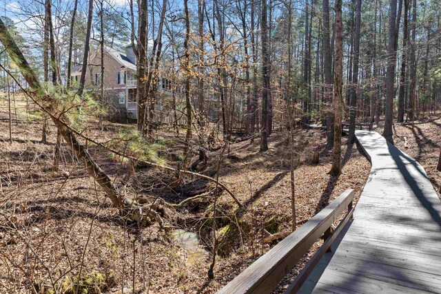 1020 Troublesome Creek Ln, Greensboro, GA 30642 - photo 63