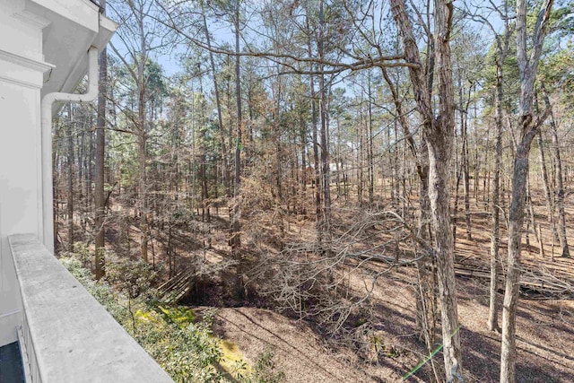 1020 Troublesome Creek Ln, Greensboro, GA 30642 - photo 66