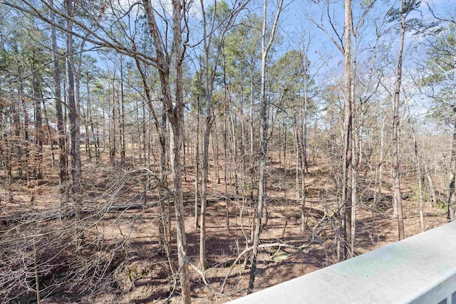 1020 Troublesome Creek Ln, Greensboro, GA 30642 - photo 65