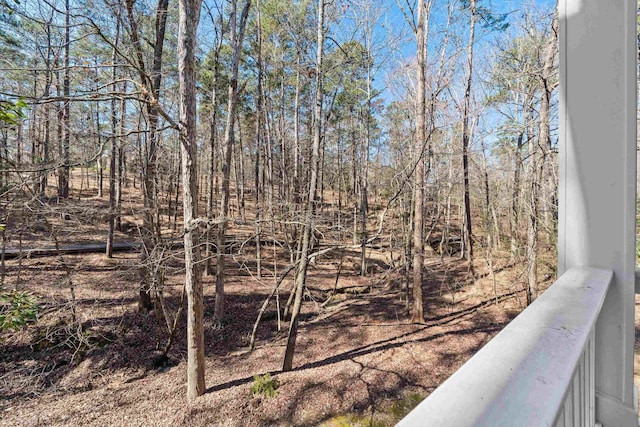 1020 Troublesome Creek Ln, Greensboro, GA 30642 - photo 57