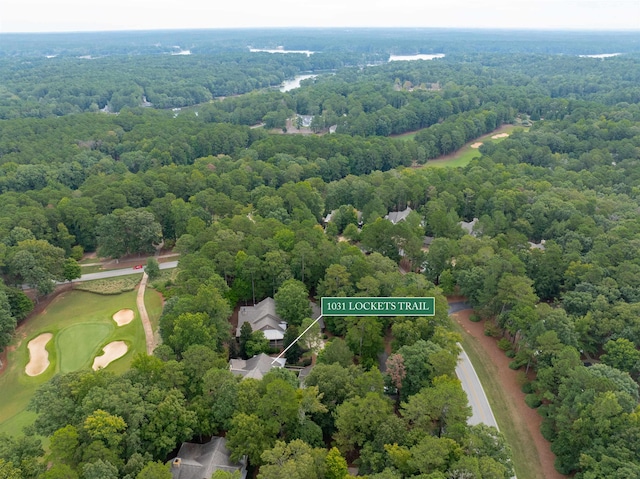 1031 Lockets Trl, Greensboro, GA 30642 - aerial view with a wooded view
