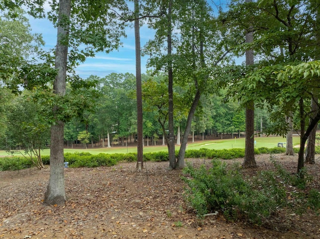 1031 Lockets Trl, Greensboro, GA 30642 - view of yard