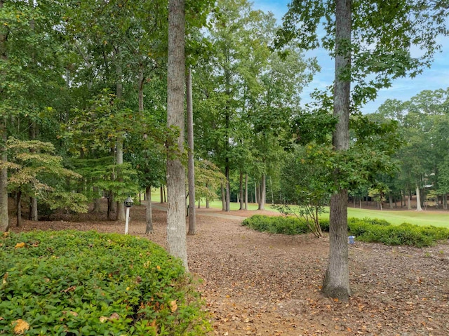 1031 Lockets Trl, Greensboro, GA 30642 - view of property's community