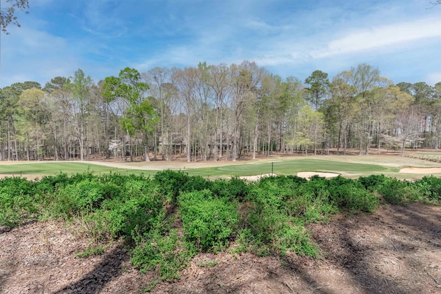 1031 Lockets Trl, Greensboro, GA 30642 - view of yard featuring golf course view