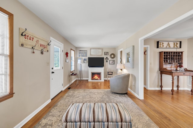 living room featuring hardwood / wood-style flooring