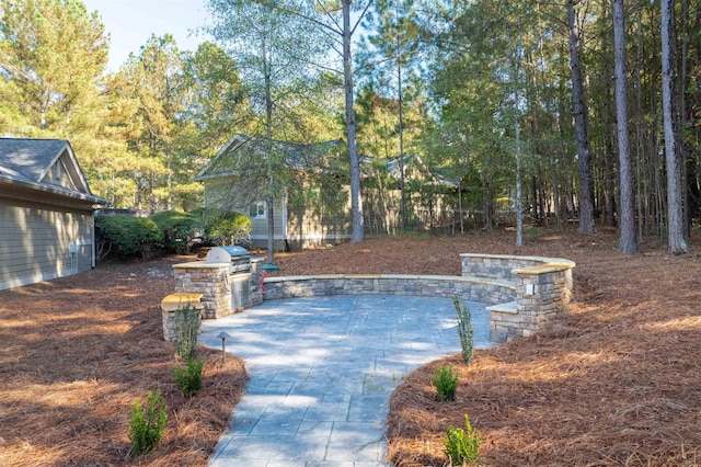 view of pool with a patio and area for grilling