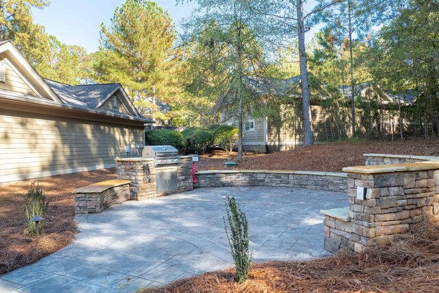 view of patio / terrace featuring area for grilling and a grill