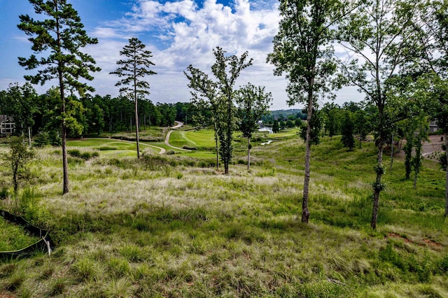 1130 Rose Crk, Greensboro, GA 30642 - photo 5