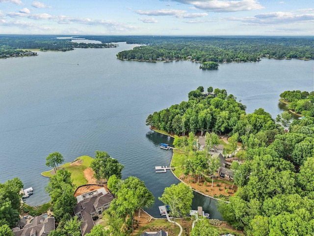 drone / aerial view with a water view and a wooded view