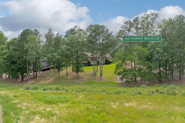 1020 Fairway Ridge Cir, Greensboro, GA 30642 - view of yard featuring a view of rural / pastoral area