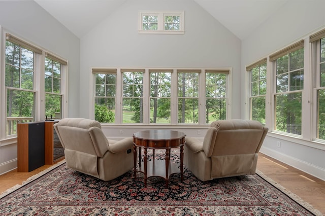 1020 Fairway Ridge Cir, Greensboro, GA 30642 - sunroom / solarium with healthy amount of natural light, wood finished floors, high vaulted ceiling, and baseboards