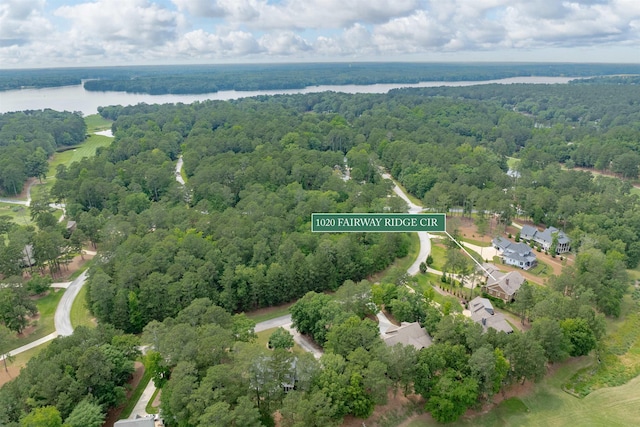 1020 Fairway Ridge Cir, Greensboro, GA 30642 - aerial view of a heavily wooded area and a nearby body of water