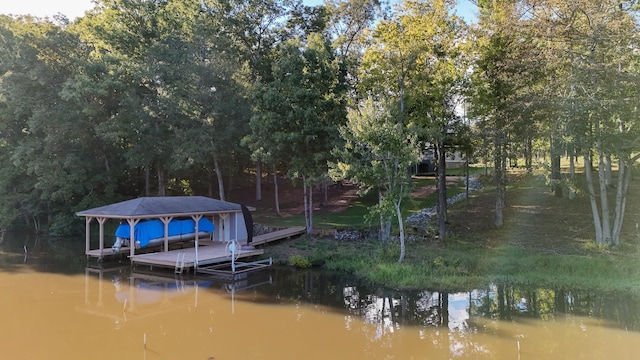 dock area with a water view