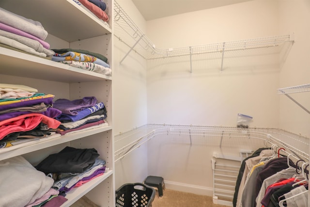 spacious closet with carpet floors