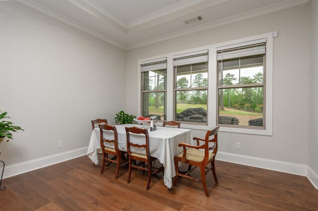 dining space with a raised ceiling, a healthy amount of sunlight, and dark hardwood / wood-style flooring