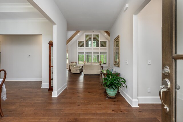 hallway with dark wood-type flooring