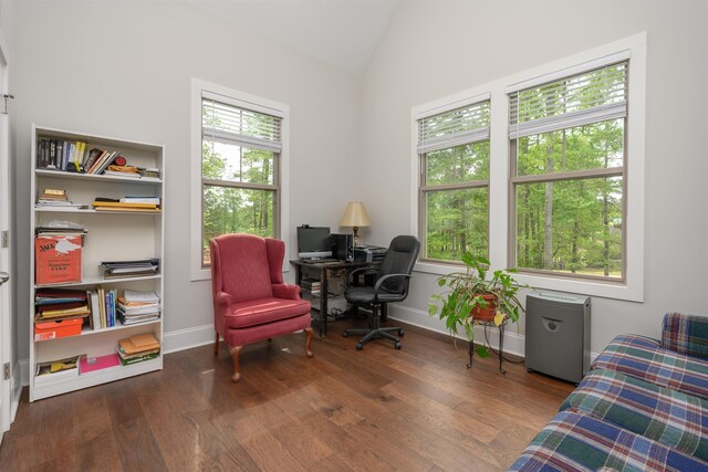 office area with a wealth of natural light, dark hardwood / wood-style floors, and vaulted ceiling