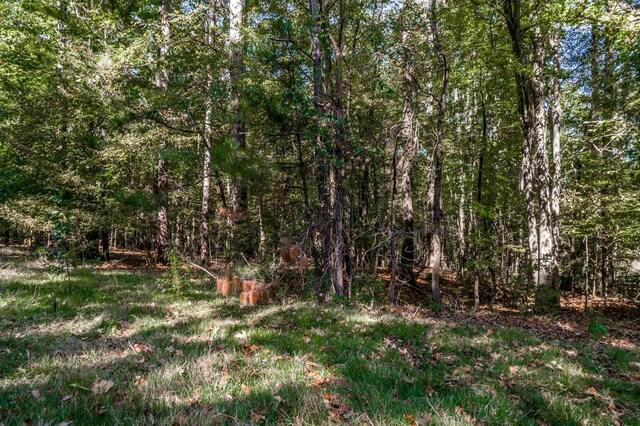 1220 Apalachee Woods Trl, Buckhead, GA 30625 - photo 10