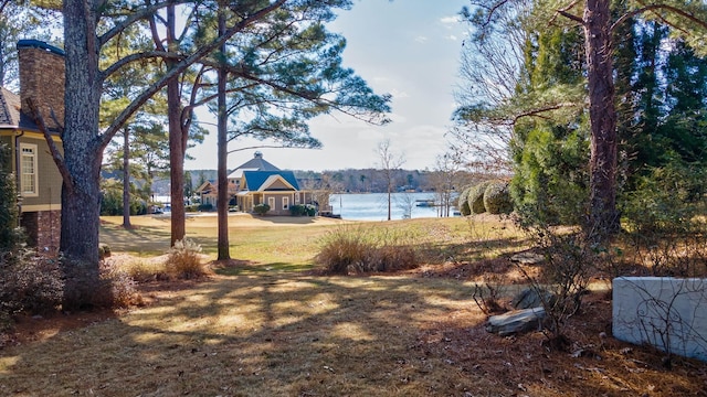 view of yard with a water view