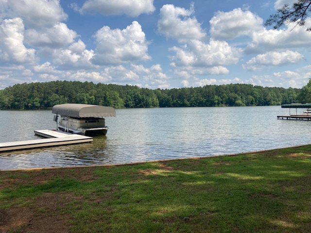 dock area with a water view and a lawn