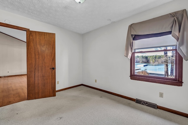 unfurnished bedroom featuring light colored carpet and a textured ceiling