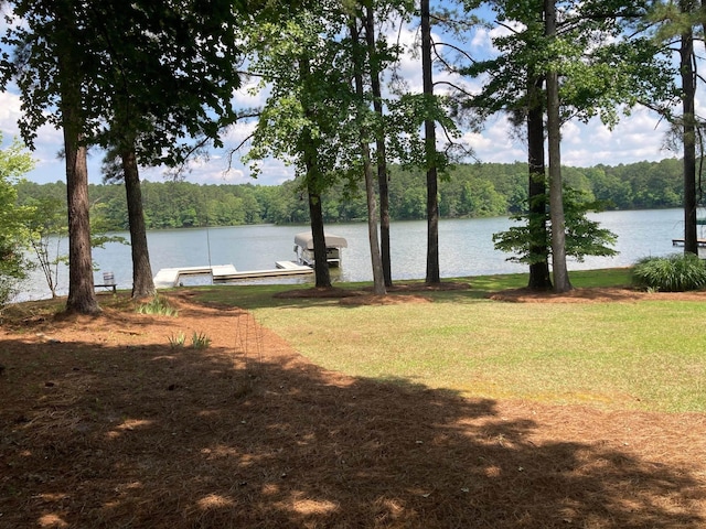 property view of water with a dock