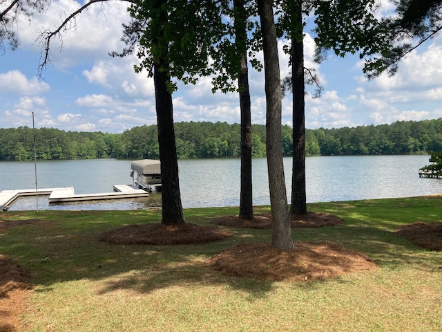 dock area with a yard and a water view