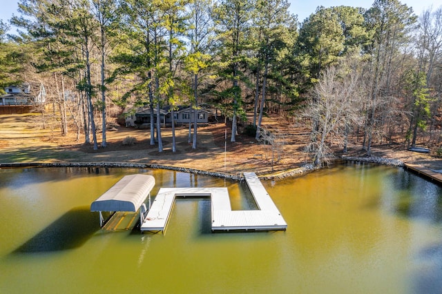 dock area with a water view