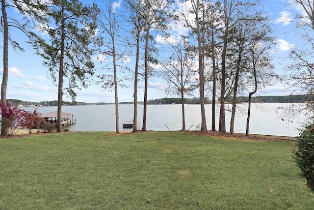 view of yard with a dock and a water view