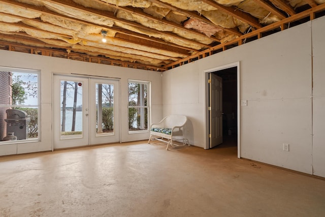 basement with french doors