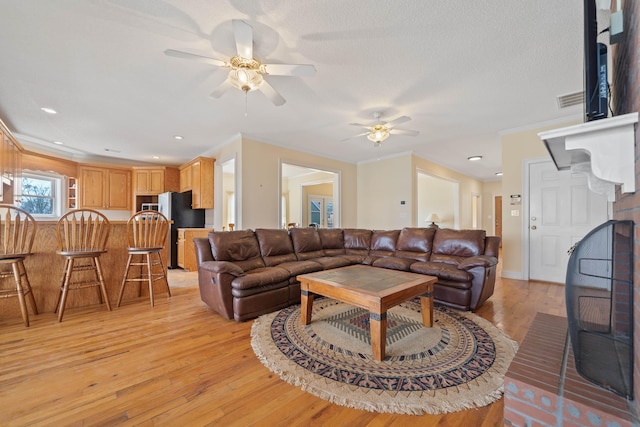 living area featuring light wood-style floors, visible vents, and ornamental molding