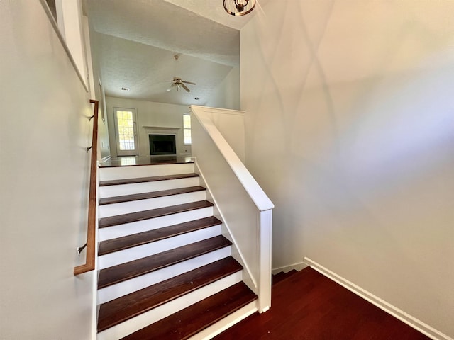 stairs featuring ceiling fan and wood-type flooring