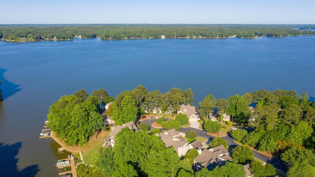 aerial view featuring a water view and a view of trees