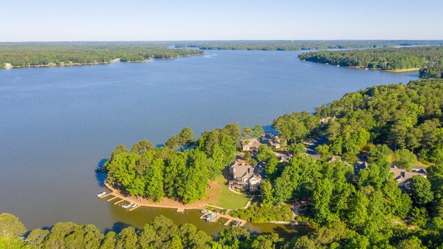 aerial view featuring a view of trees and a water view