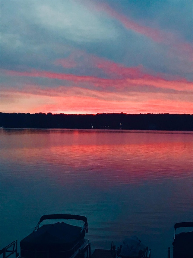 water view featuring a dock