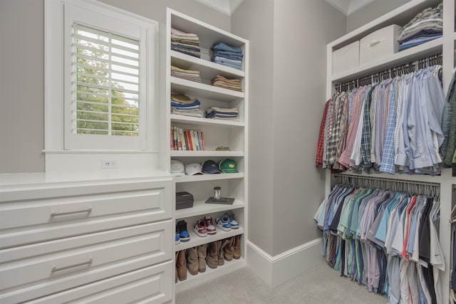 spacious closet with light carpet