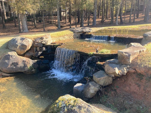 1191 Sugar Run, Greensboro, GA 30642 - view of yard