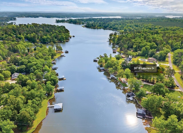 drone / aerial view featuring a view of trees and a water view